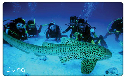 diving